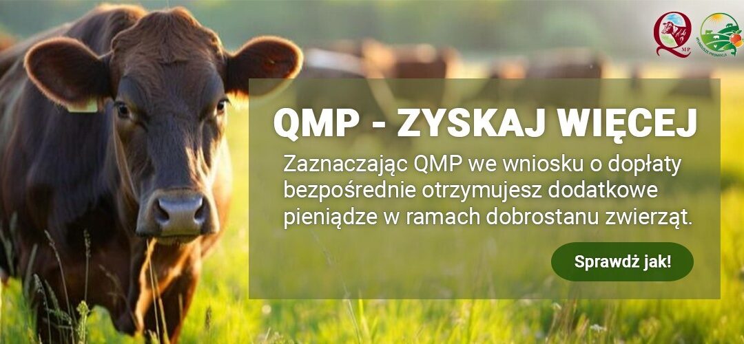 Ekoschemat „Dobrostan zwierząt”Dodatkowe pieniądze dla hodowców bydła z QMP – tylko do 16 czerwca!