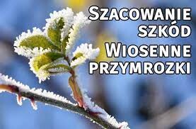 Informacja o możliwości składania wniosków o oszacowanie szkód w uprawach rolnych spowodowanych zjawiskiem atmosferycznym – przymrozkami wiosennymi.
