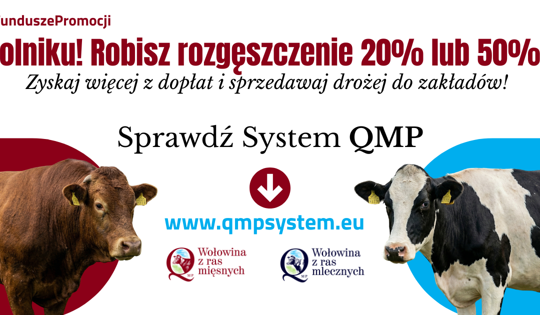 Informacja o systemie QMP