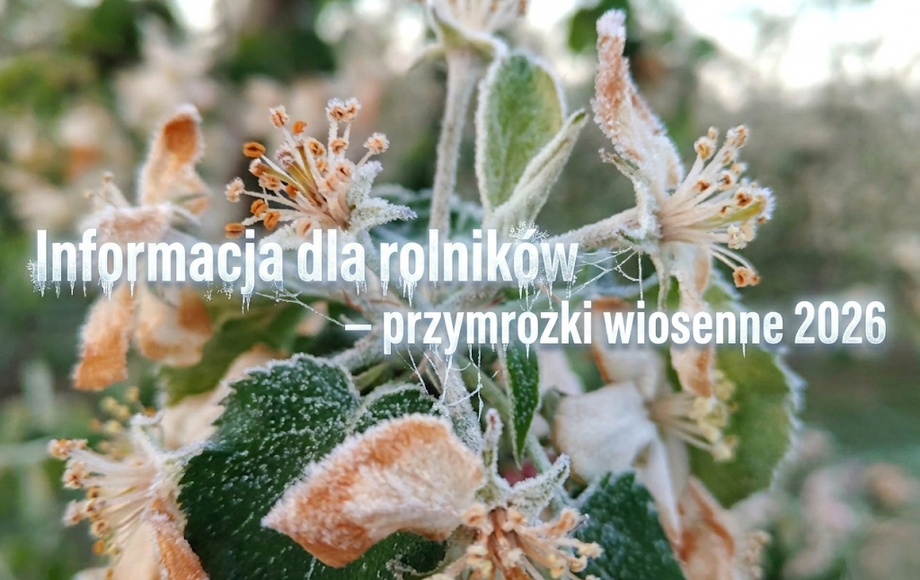 Informacja o możliwości składania wniosków o oszacowanie szkód w uprawach rolnych spowodowanych zjawiskiem atmosferycznym – przymrozkami wiosennymi.
